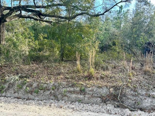 Image 11 of 15 For  85th Street 