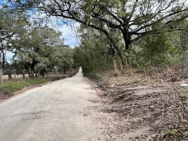 Image 14 of 15 For  85th Street 