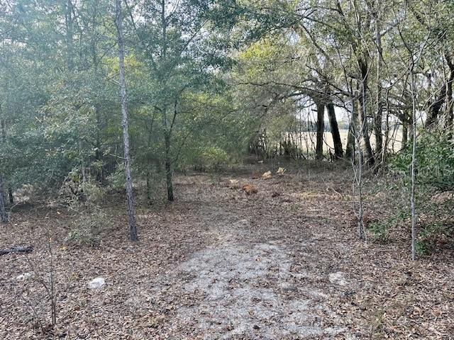 Image 8 of 15 For  85th Street 