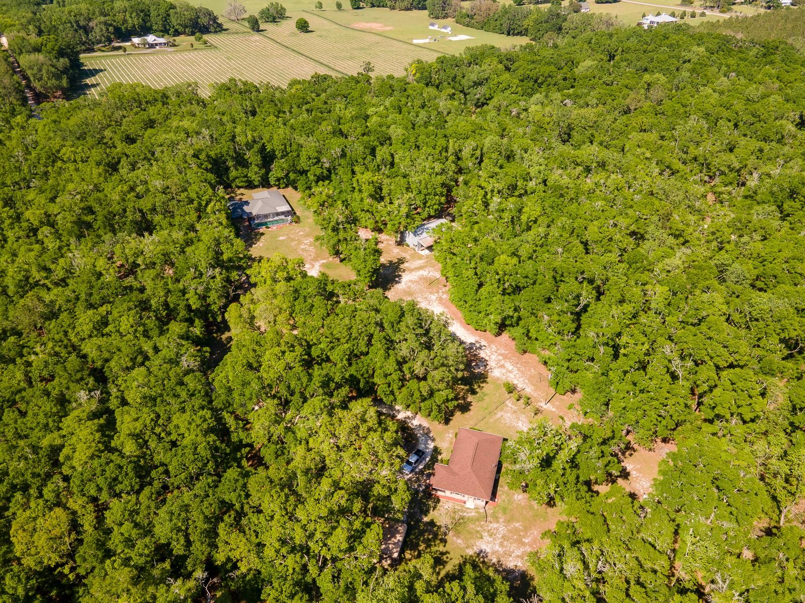 Image 2 of 66 For 23719 142nd Avenue