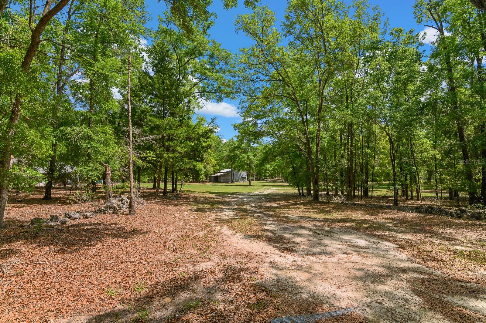 Image 47 of 66 For 23719 142nd Avenue