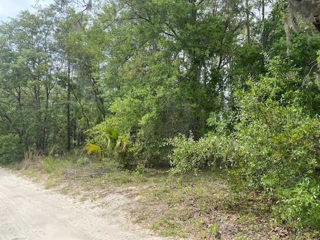 Details for  67th Street , BRONSON, FL 32621