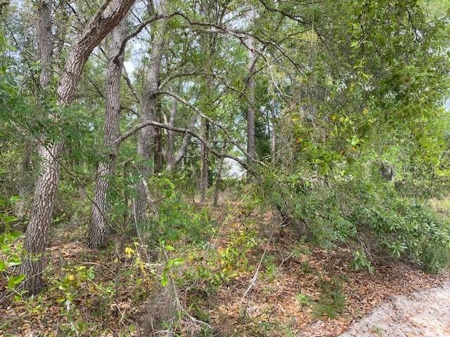 Image 5 of 6 For  67th Street 