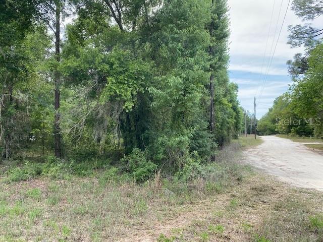 Details for Ne 67th Street, BRONSON, FL 32621