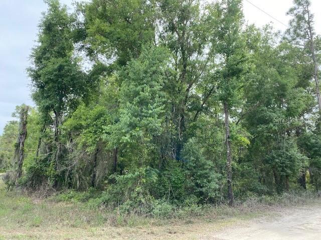 Image 4 of 7 For Ne 67th Street
