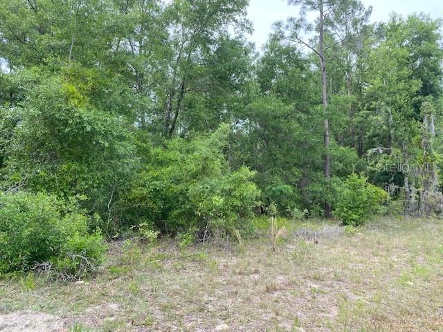 Image 6 of 7 For Ne 67th Street
