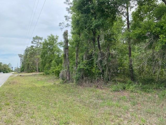 Image 10 of 12 For Ne 67th Street