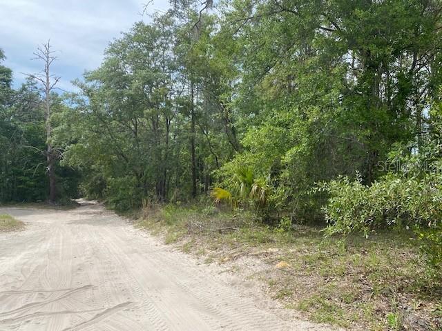 Image 3 of 12 For Ne 67th Street