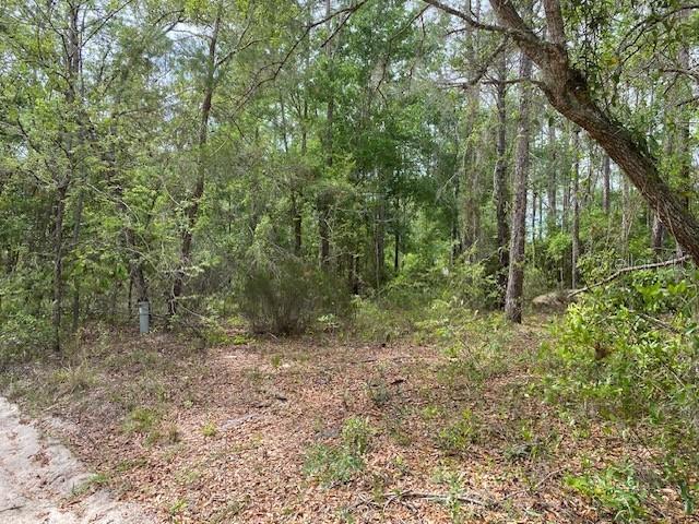 Image 5 of 12 For Ne 67th Street