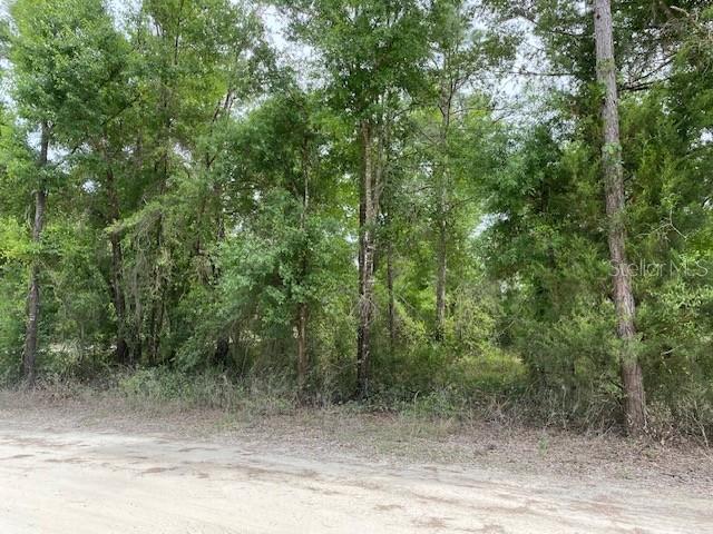 Image 8 of 12 For Ne 67th Street