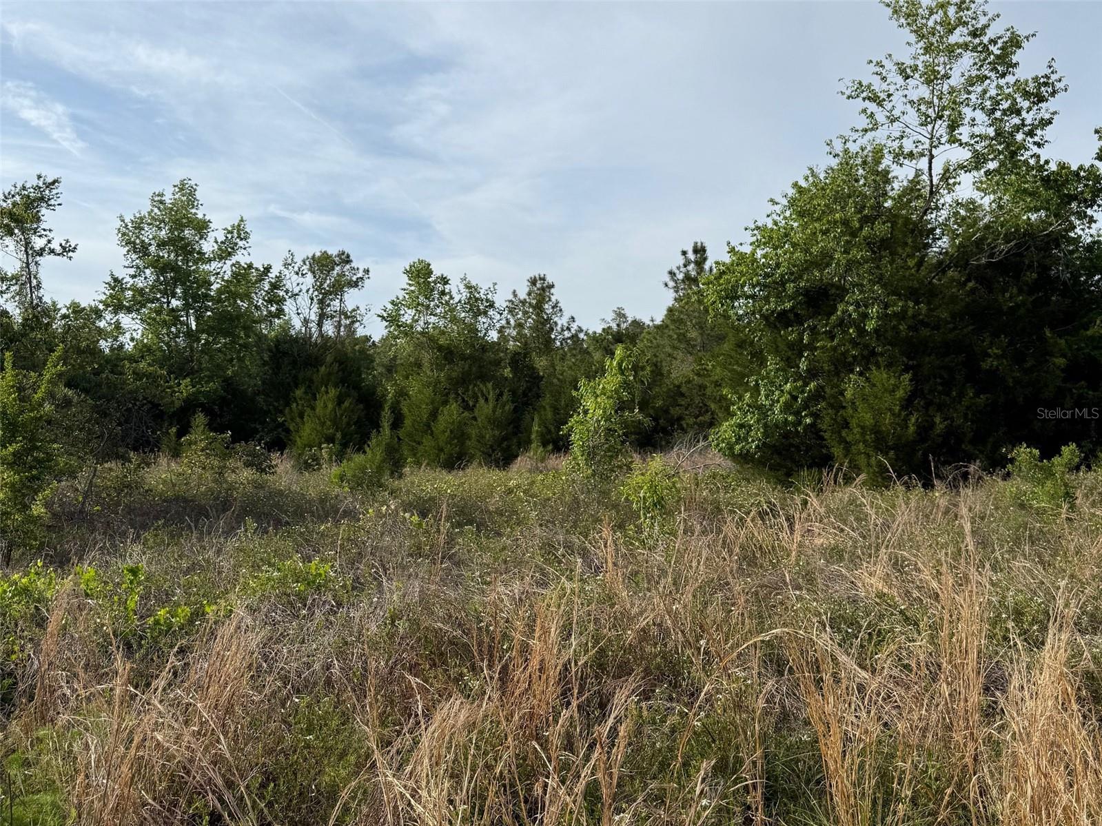Image 3 of 4 For Tbd 30th Street