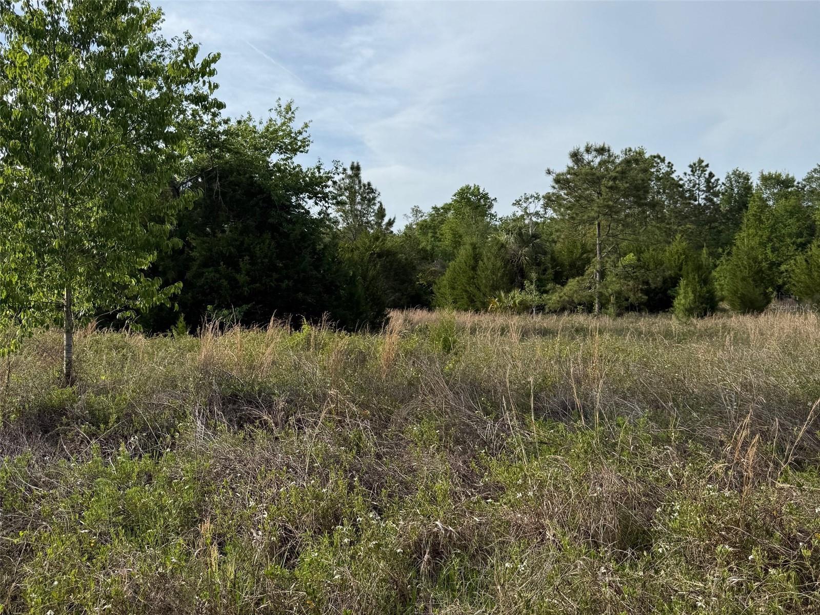 Image 4 of 4 For Tbd 30th Street