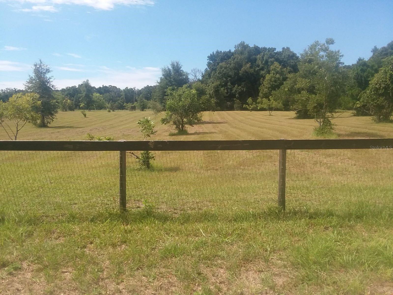 Image 37 of 55 For Address Not Provided