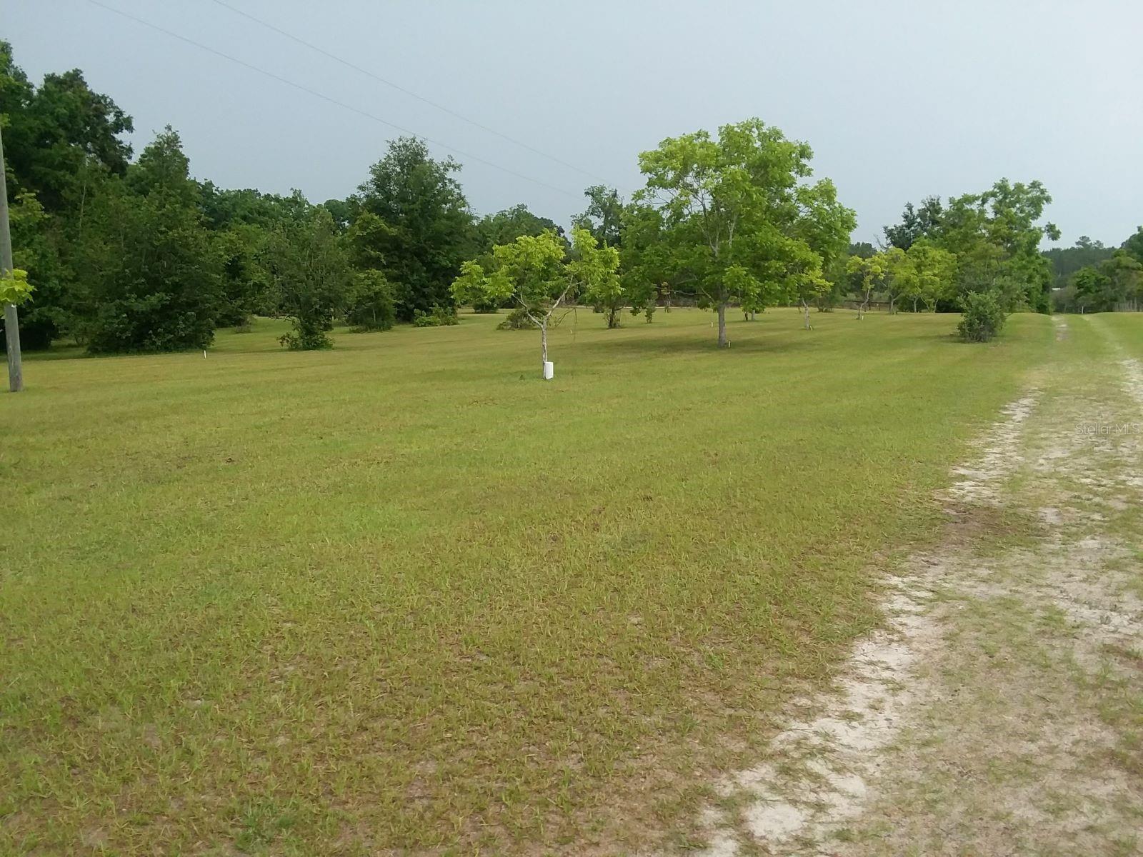Image 45 of 55 For Address Not Provided