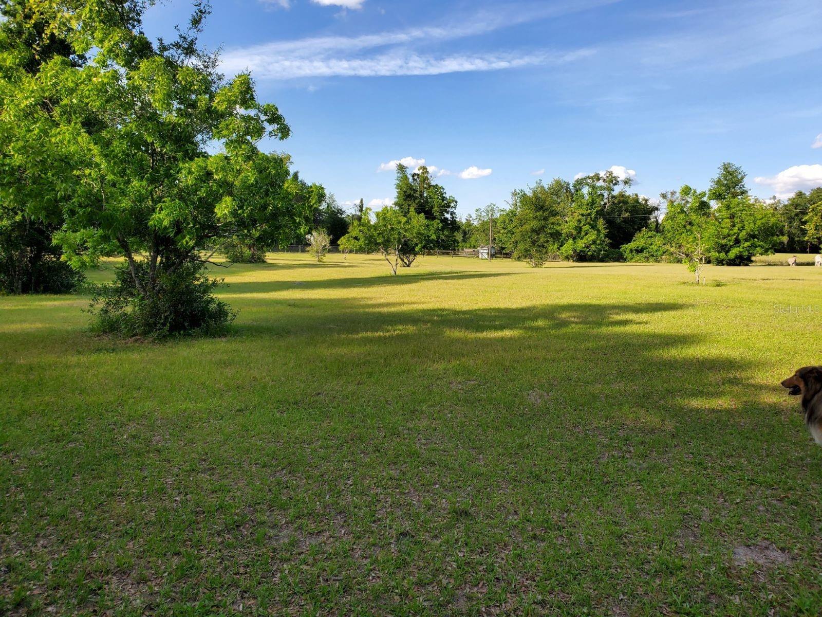 Image 49 of 55 For Address Not Provided