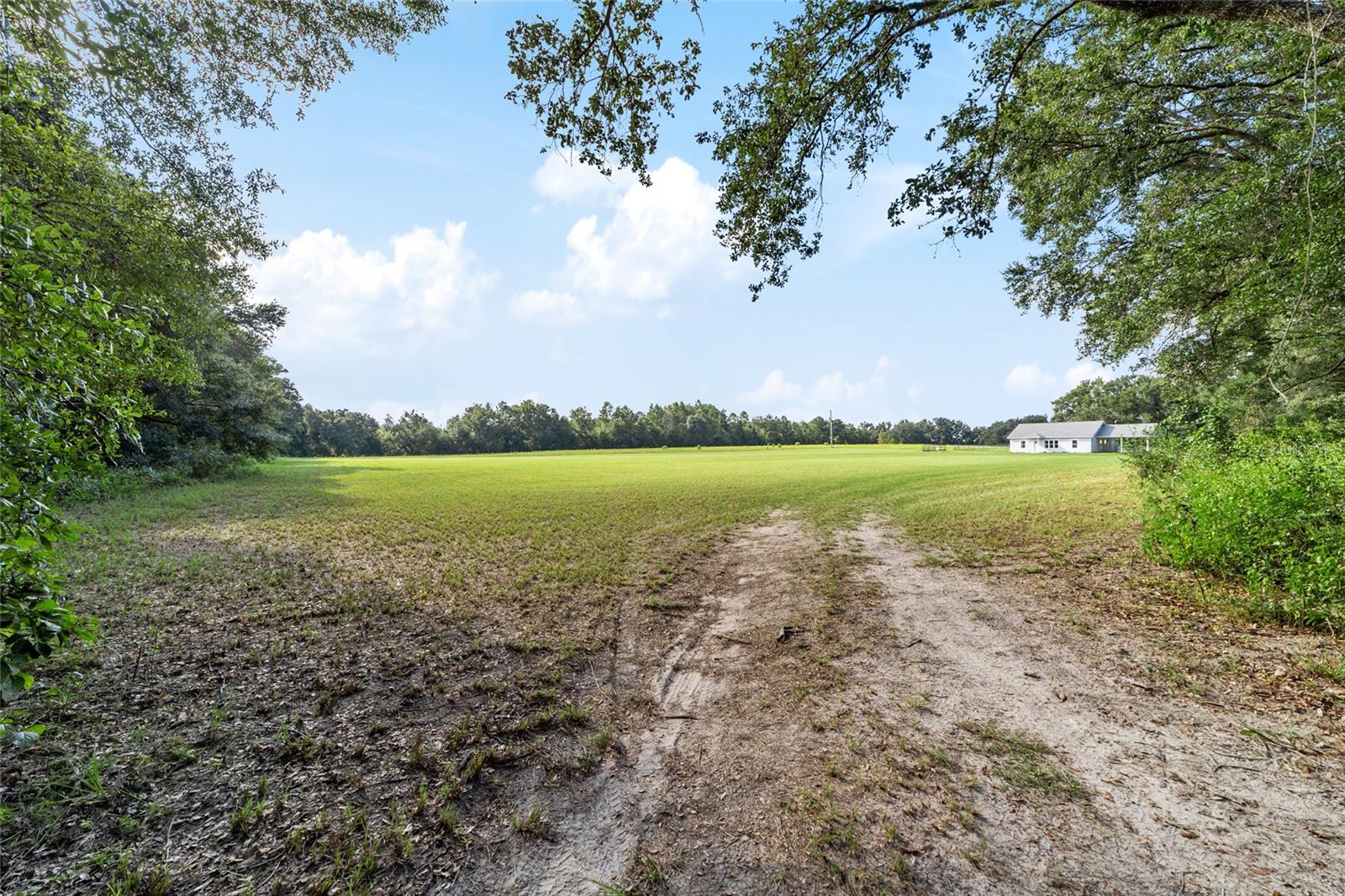 Image 46 of 72 For 4920 County Road 337