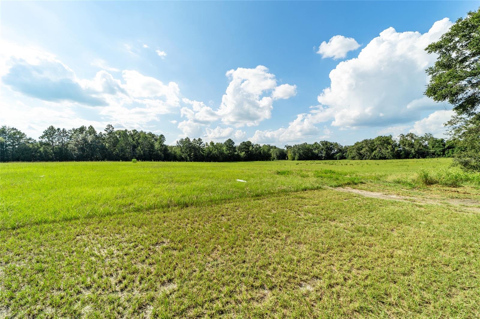 Image 51 of 72 For 4920 County Road 337