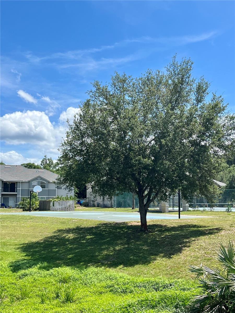 Image 17 of 20 For 3705 27th Street 1112