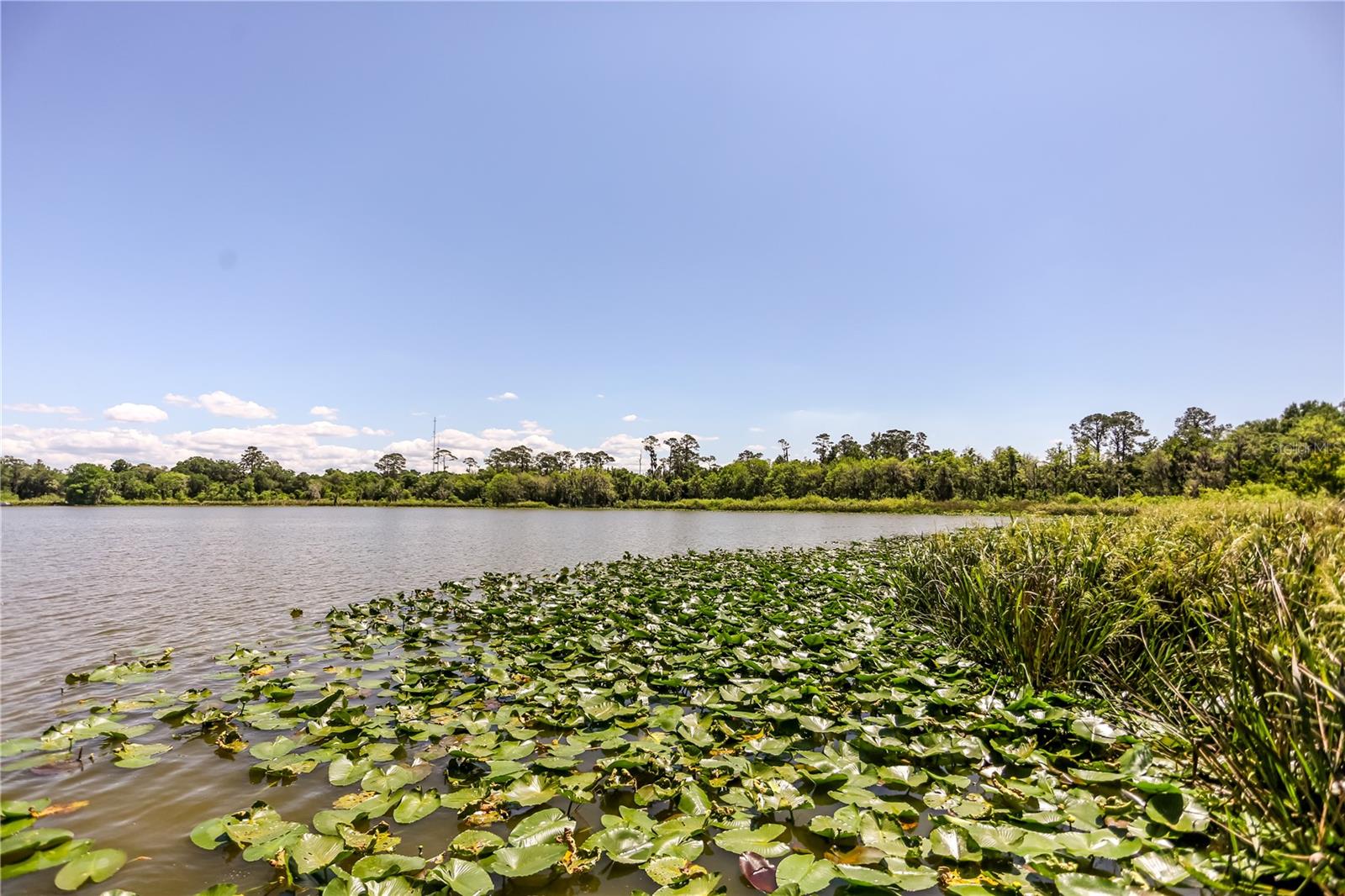 Image 45 of 47 For 6933 226th Drive