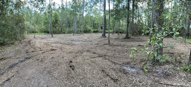 Image 9 of 16 For 618 Naples Terrace