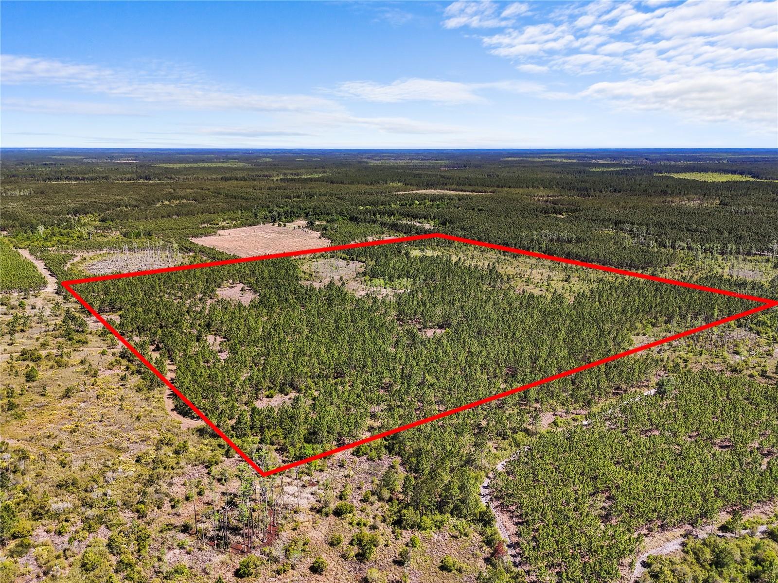 Details for  Na  , GAINESVILLE, FL 32609