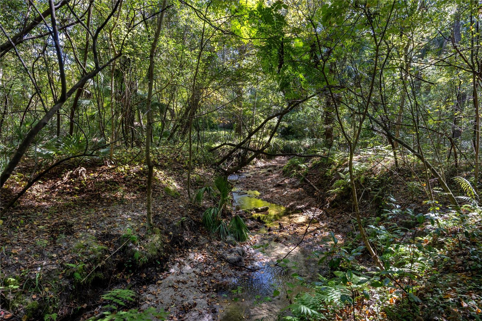 Image 5 of 72 For 2074 11th Road