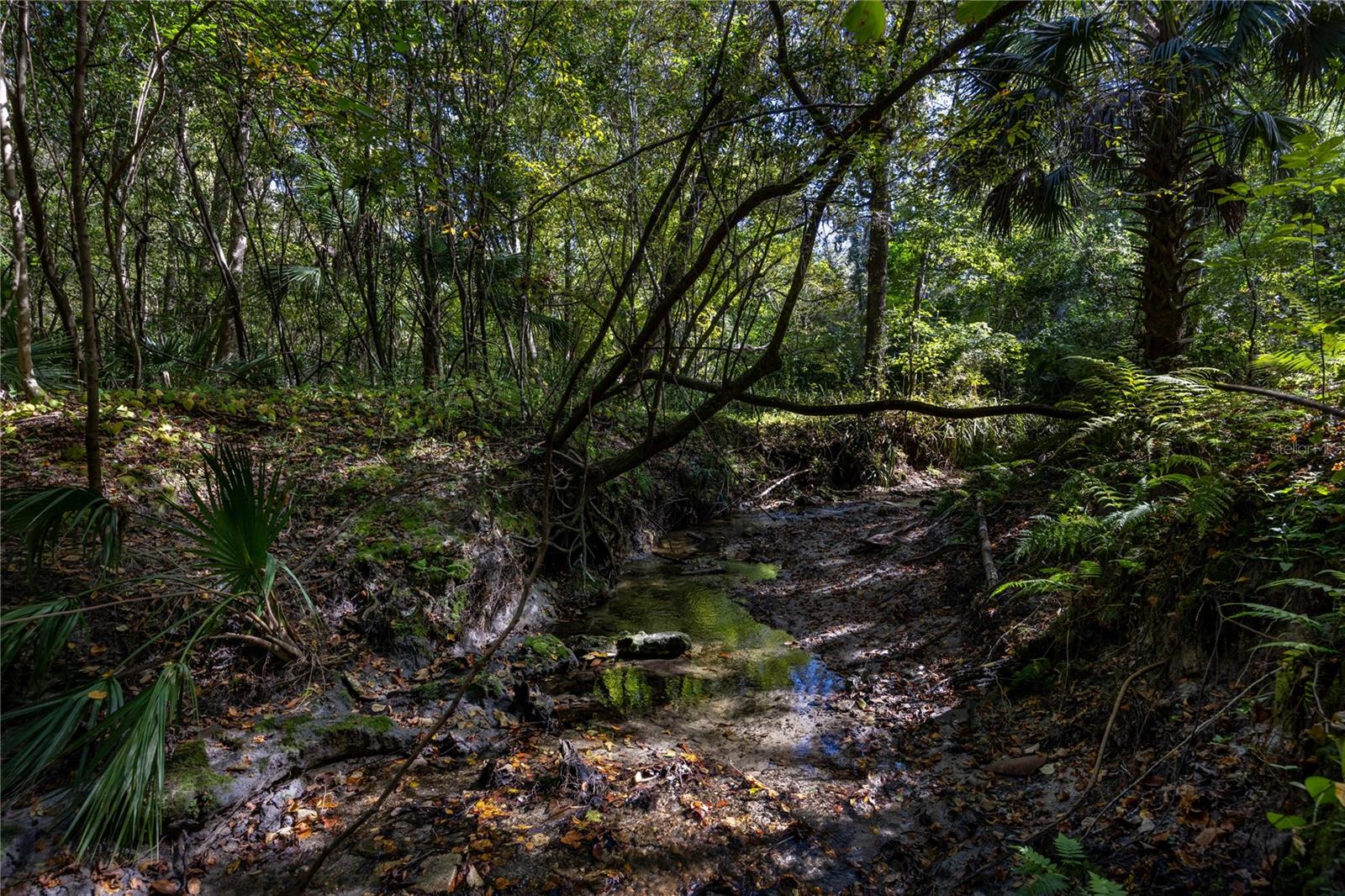 Image 70 of 72 For 2074 11th Road