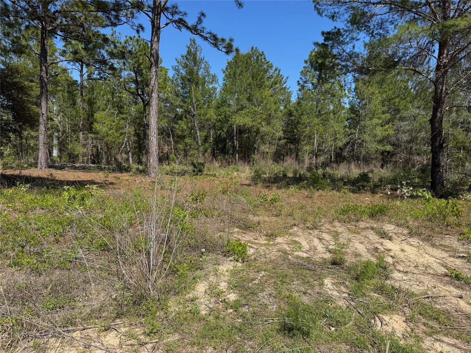 Details for 7577 Casa Grande Boulevard, KEYSTONE HEIGHTS, FL 32656