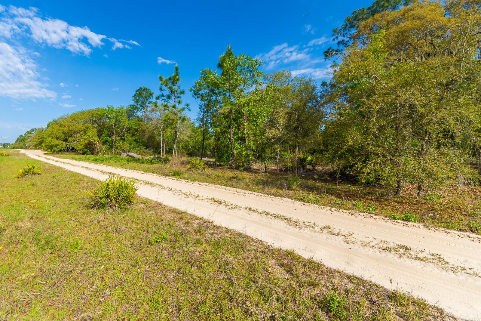 Details for  65 Street , WILLISTON, FL 32696