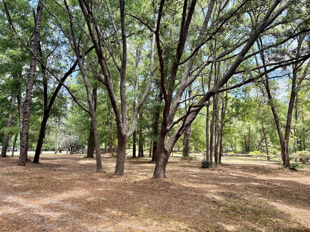 Image 45 of 51 For 540 Arthur Moore Drive