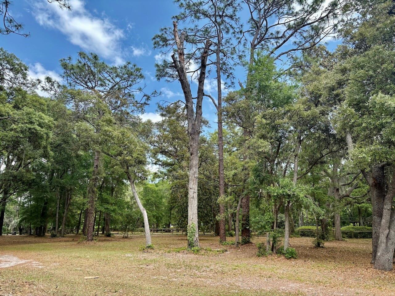 Image 48 of 51 For 540 Arthur Moore Drive