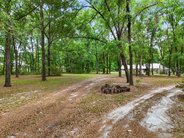 Image 54 of 66 For 23225 County Rd. 236