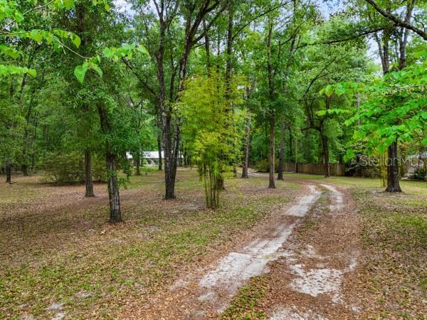 Image 55 of 66 For 23225 County Rd. 236