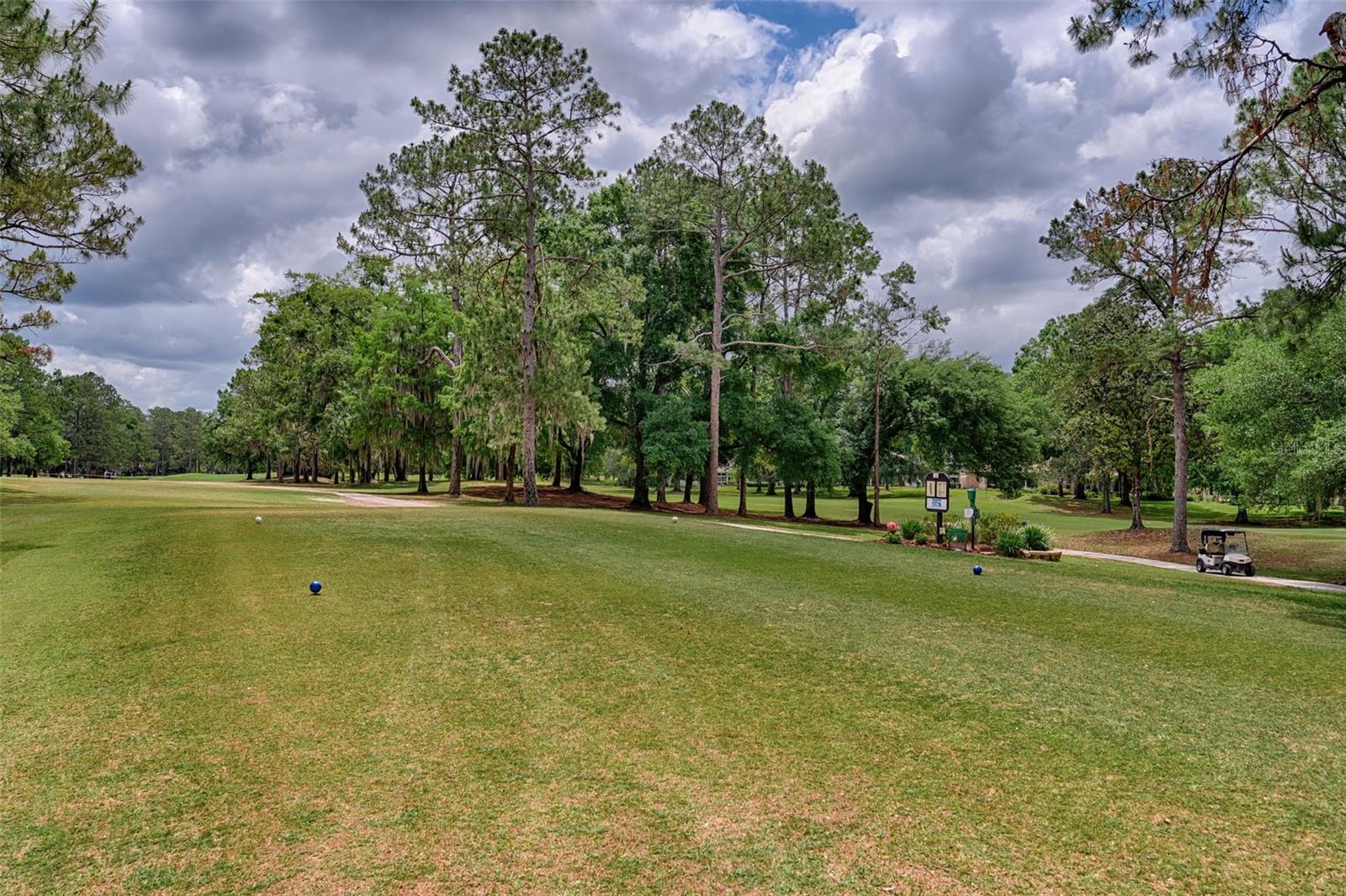 Image 34 of 41 For 11123 Palmetto Boulevard