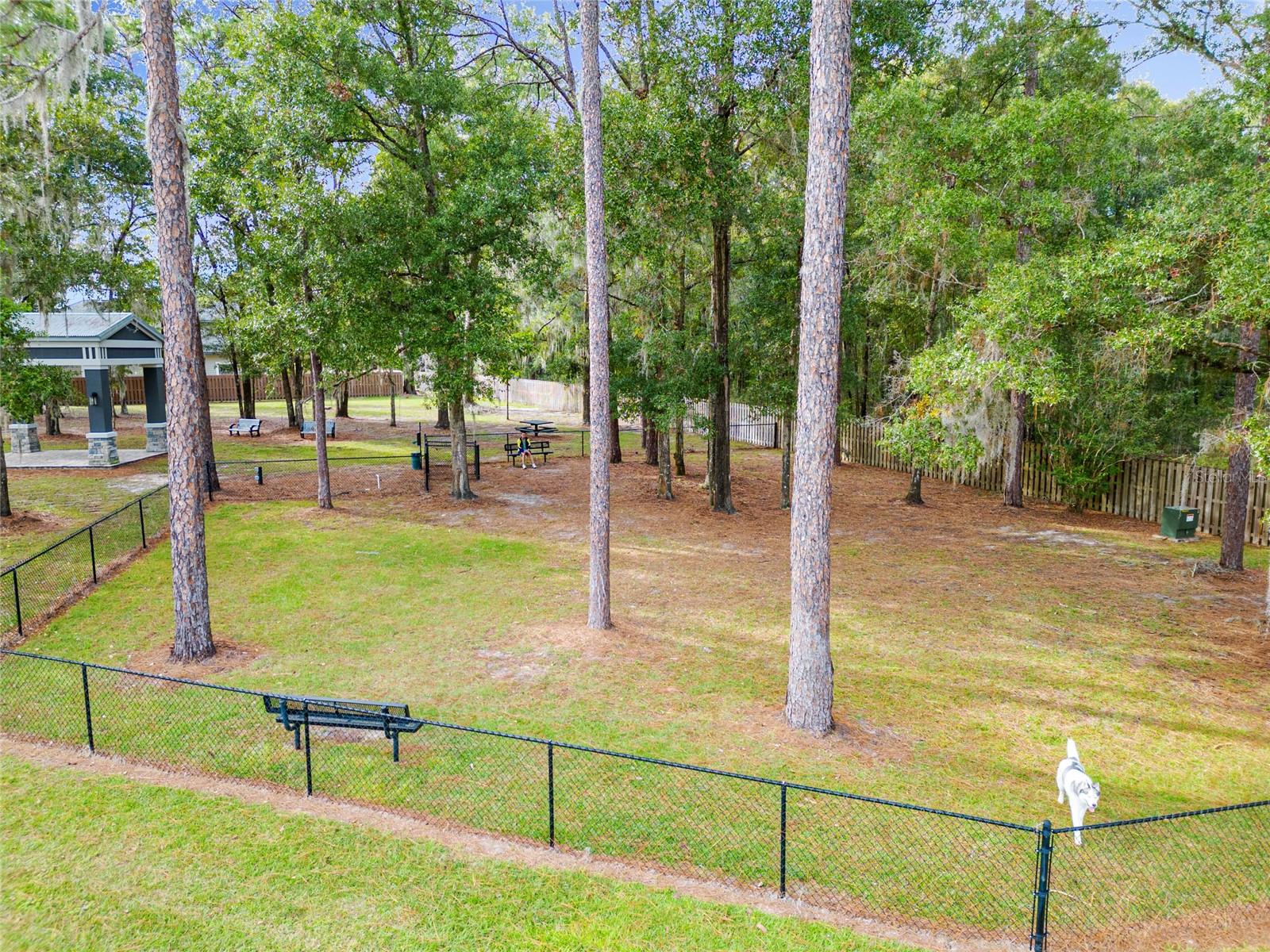 Image 69 of 70 For 6613 95th Street