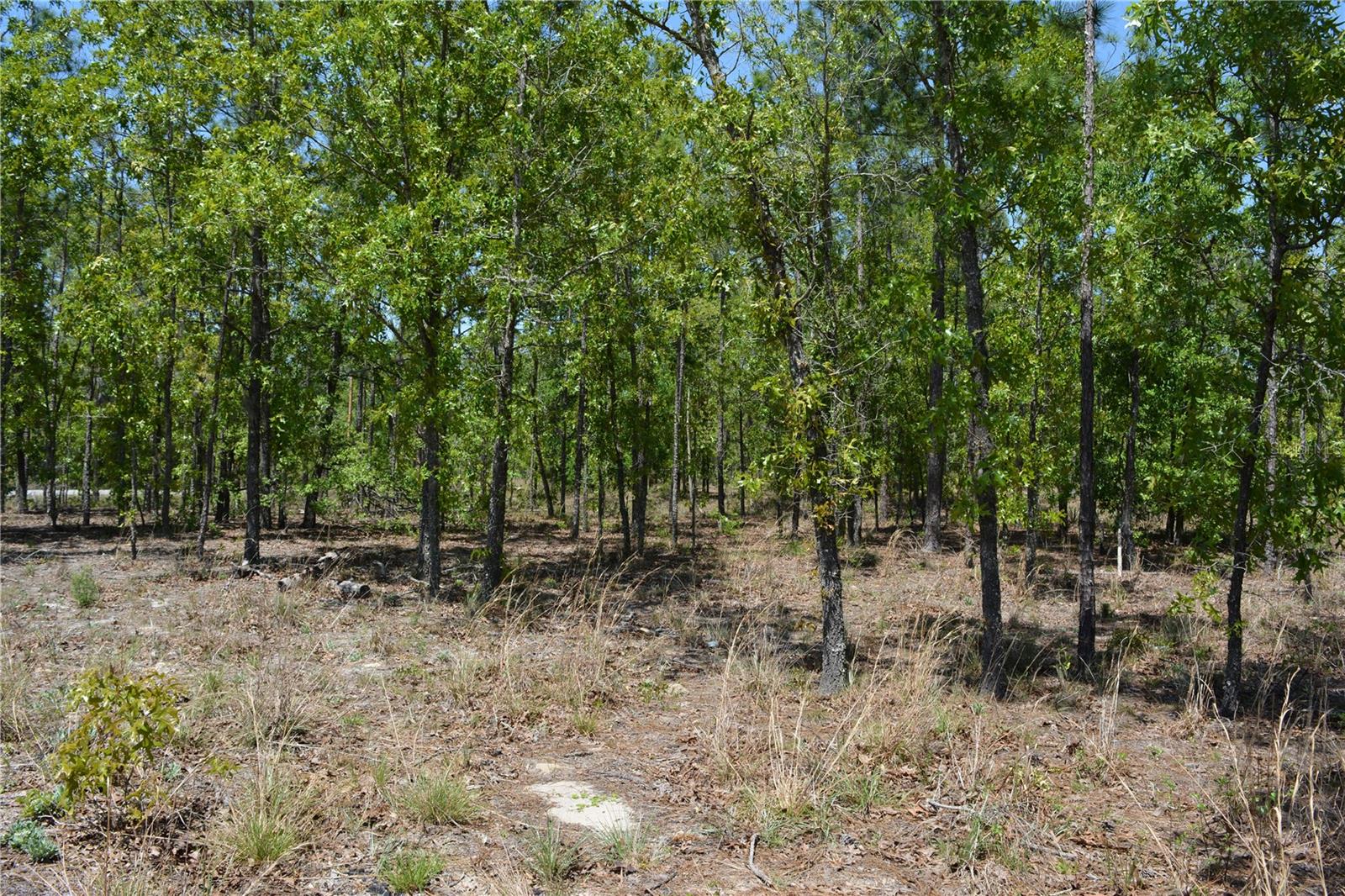 Image 45 of 45 For 2640 74th Avenue