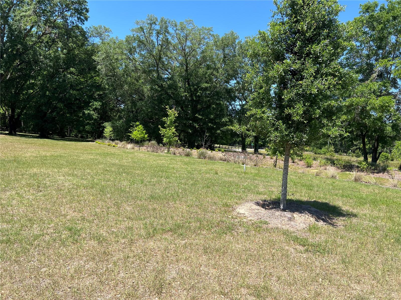 Image 2 of 2 For 3176 135th Way