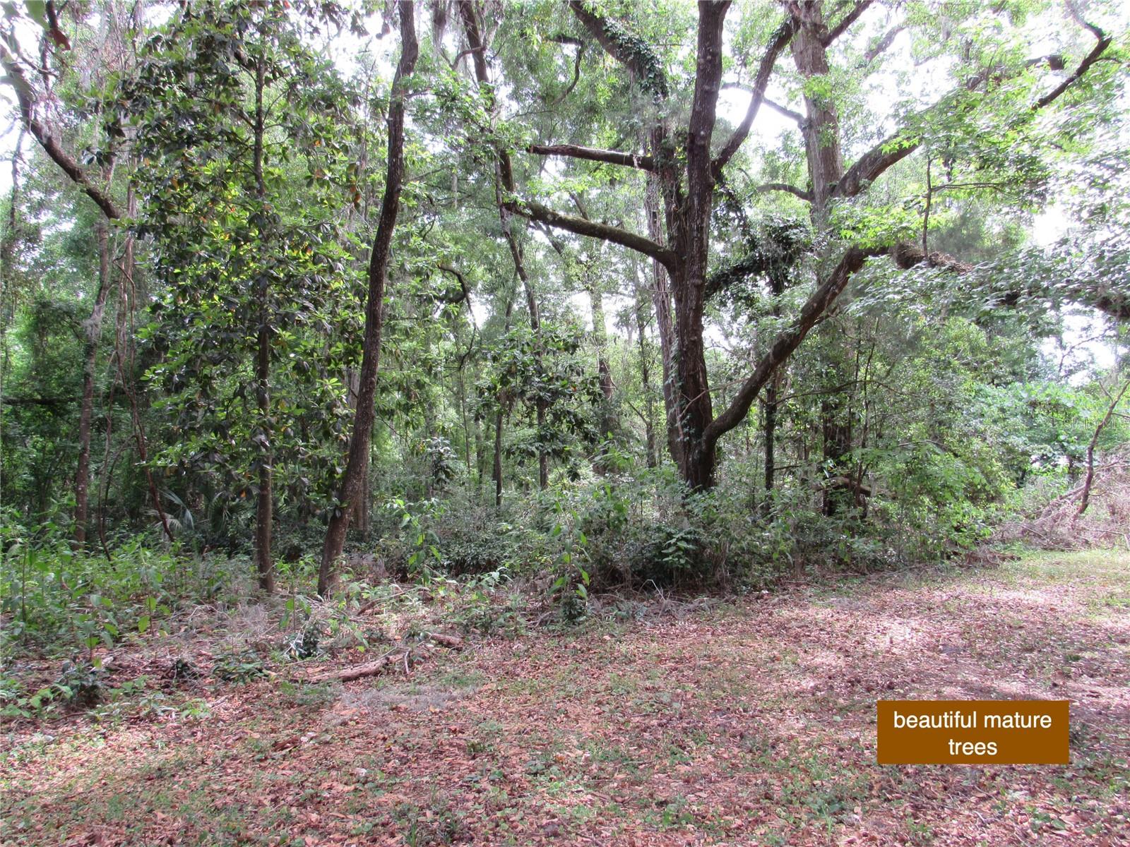 Image 38 of 40 For 20526 State Road 121