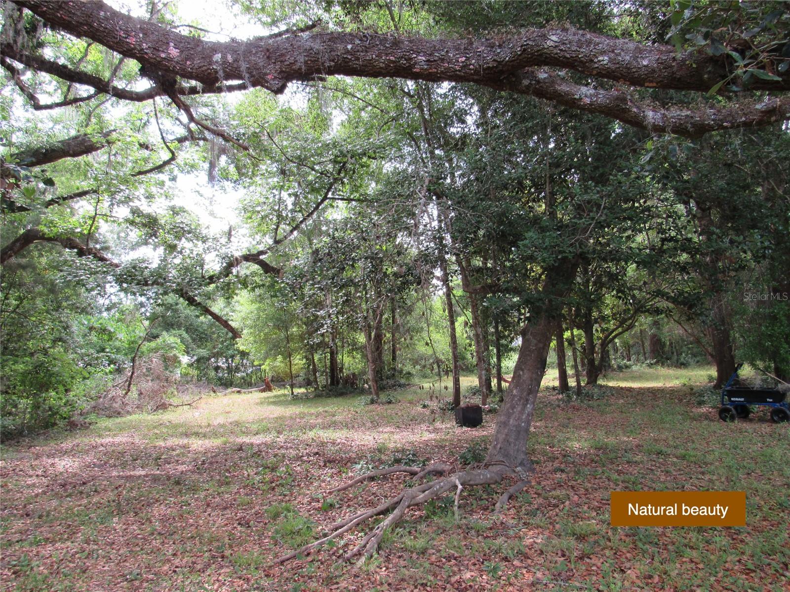 Image 39 of 40 For 20526 State Road 121
