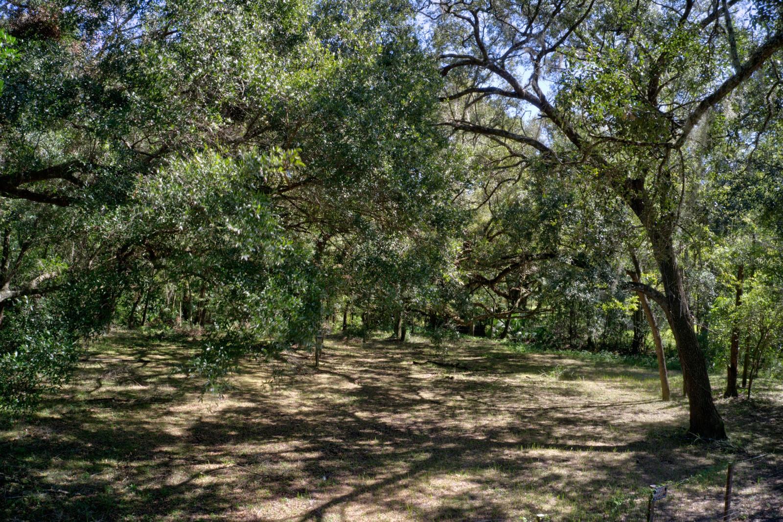Image 6 of 11 For 5005 63rd Boulevard