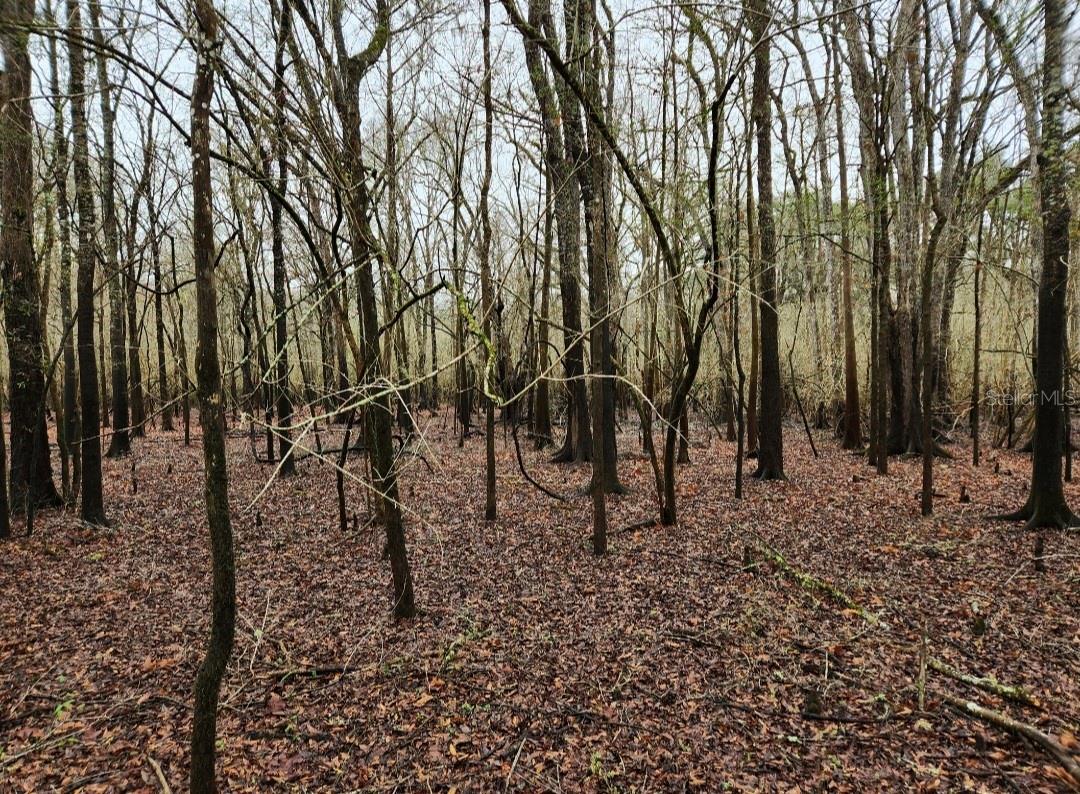 Image 2 of 21 For Tbd River Run Road