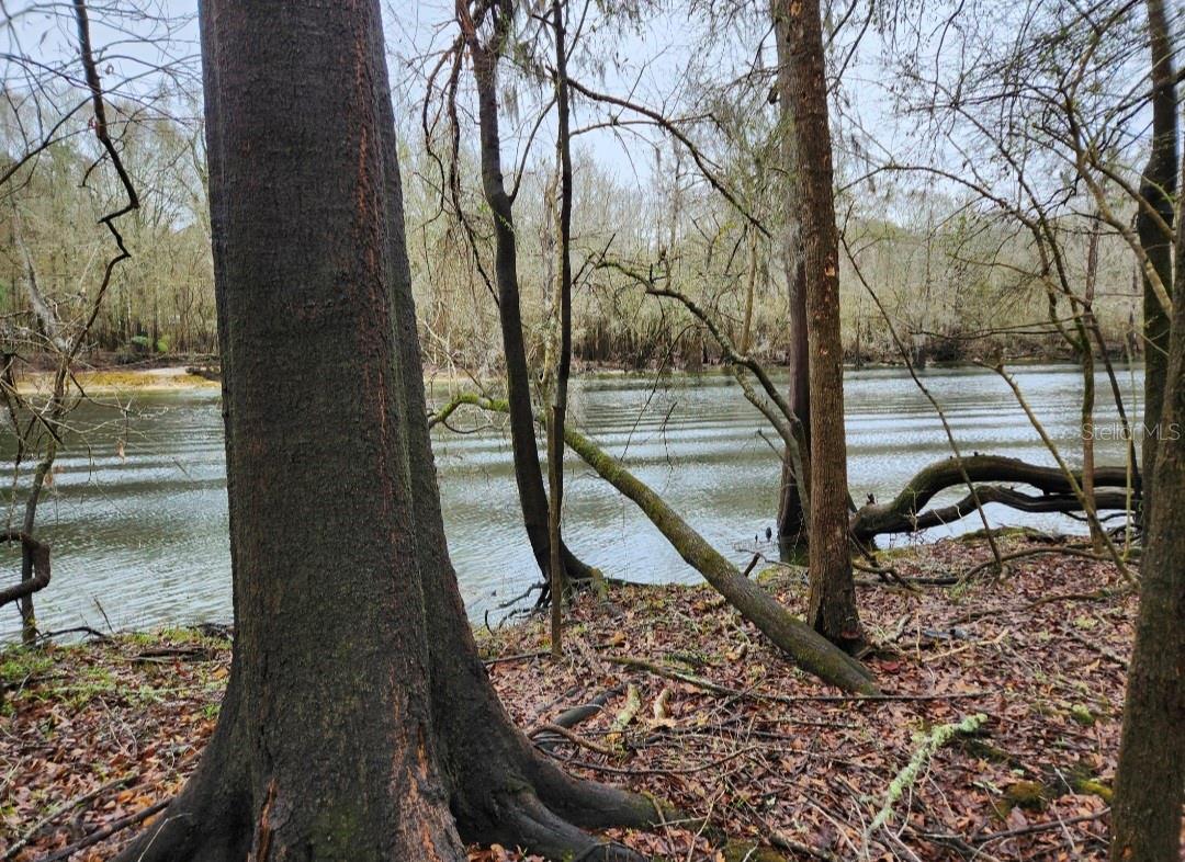 Image 6 of 21 For Tbd River Run Road