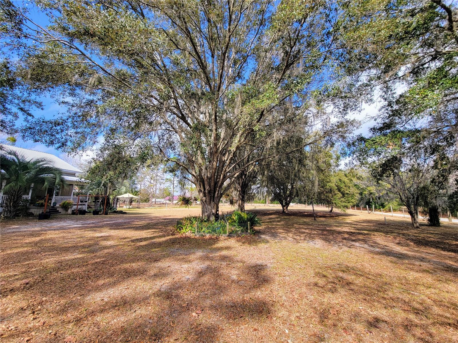 Image 44 of 81 For 9150 151st Lane