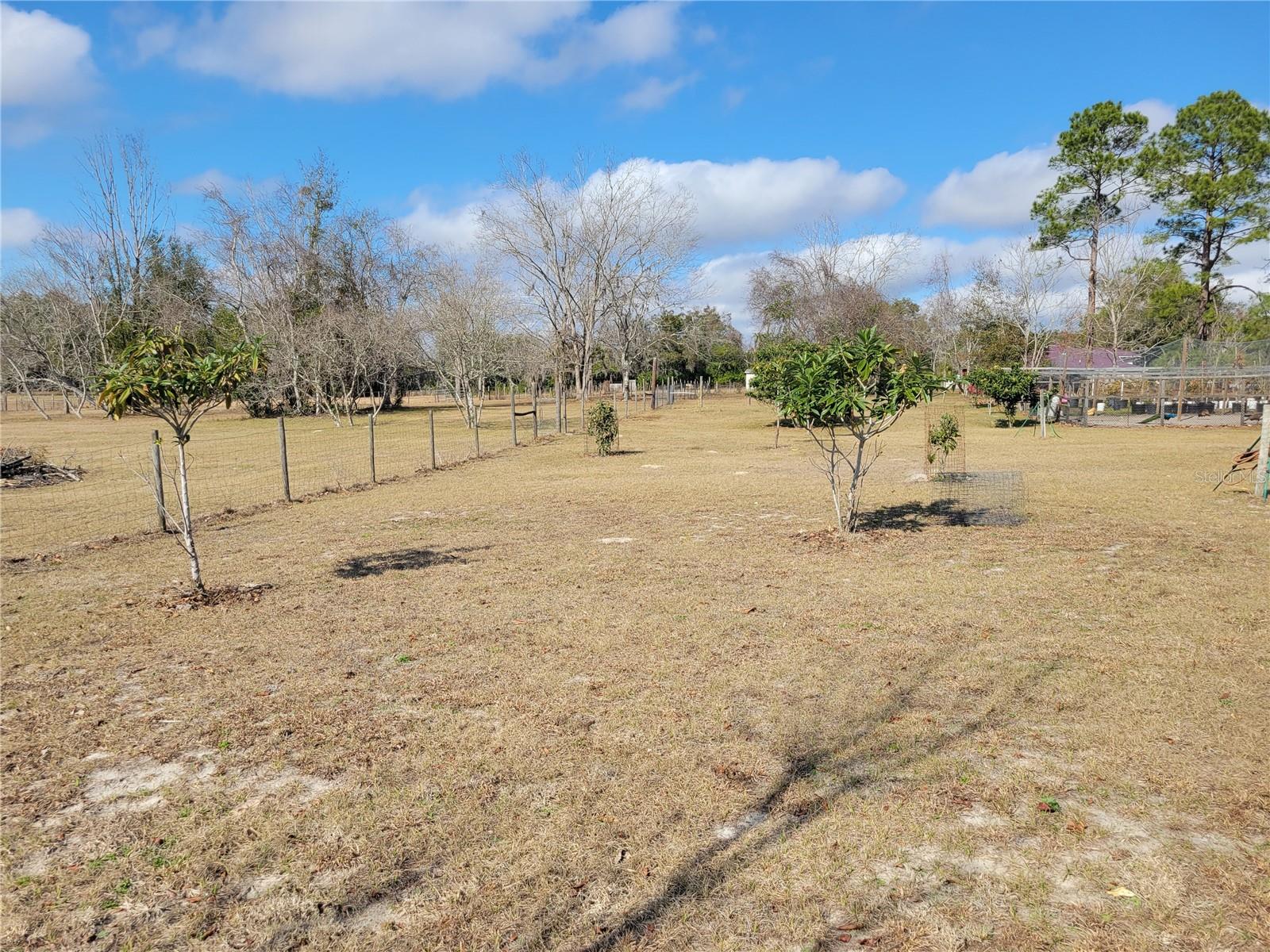 Image 55 of 81 For 9150 151st Lane