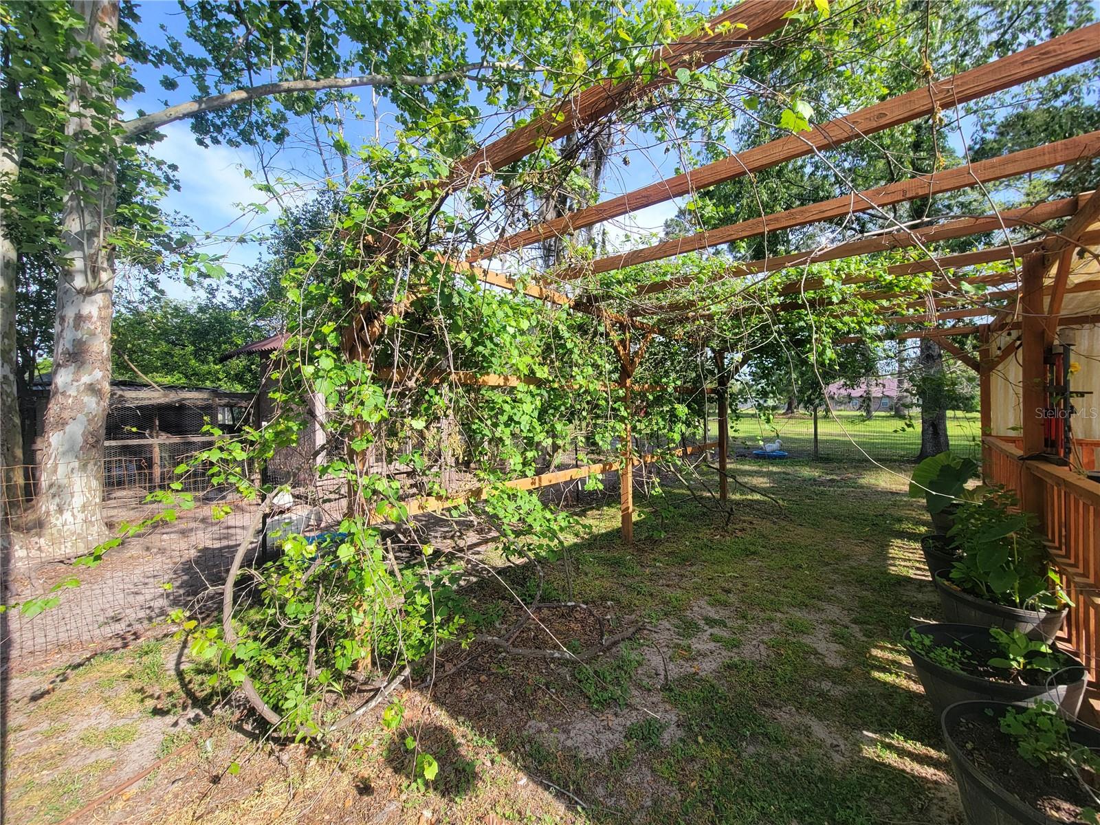 Image 62 of 81 For 9150 151st Lane