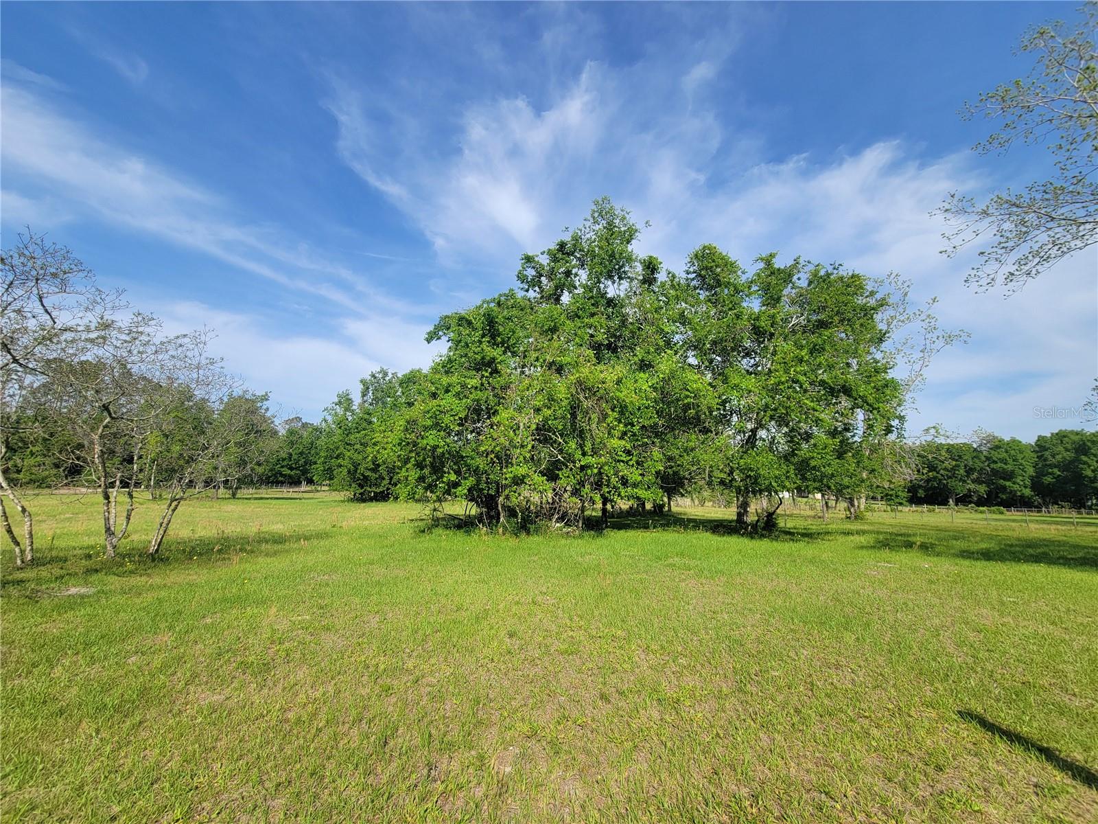 Image 66 of 81 For 9150 151st Lane