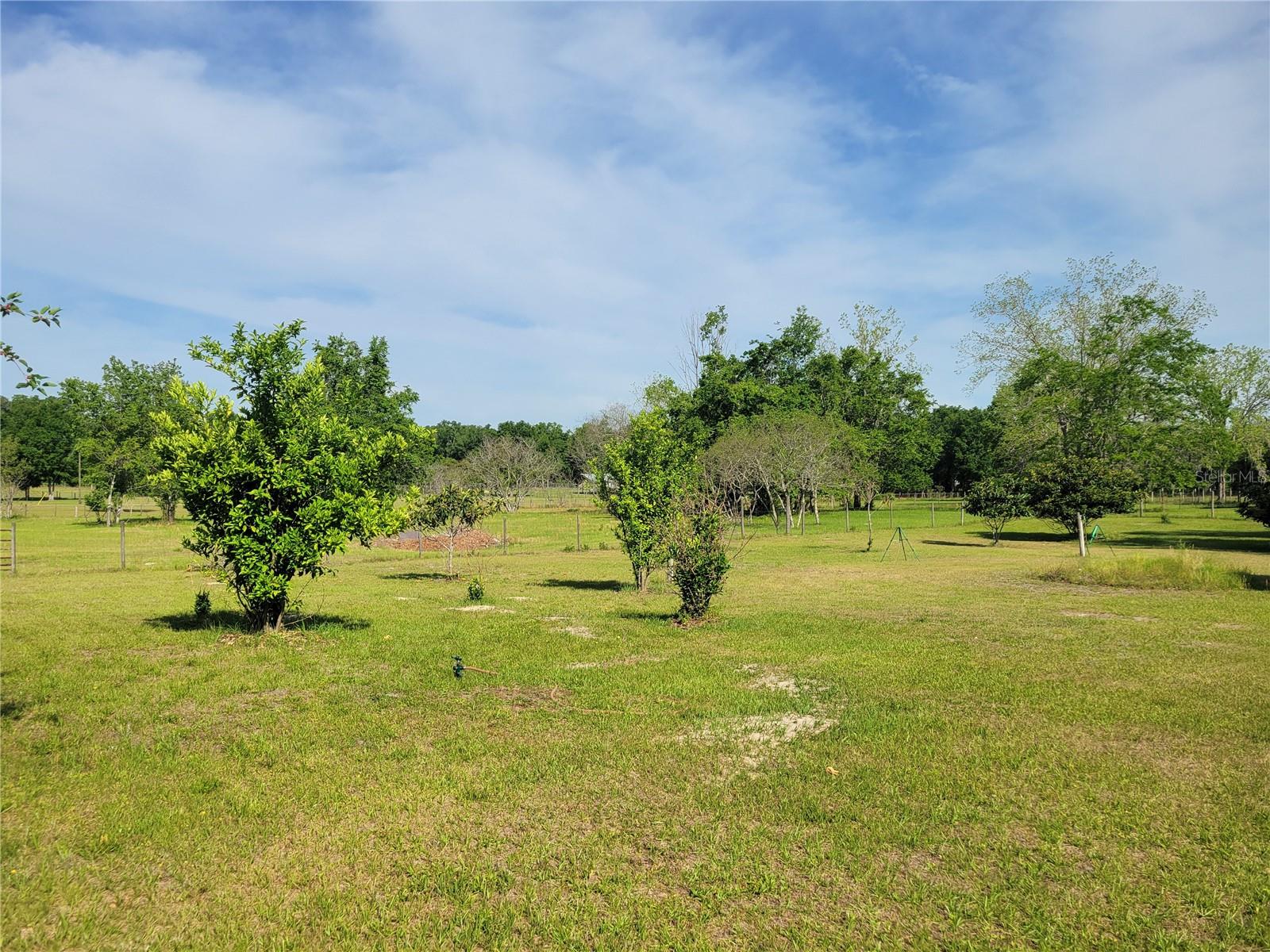 Image 70 of 81 For 9150 151st Lane