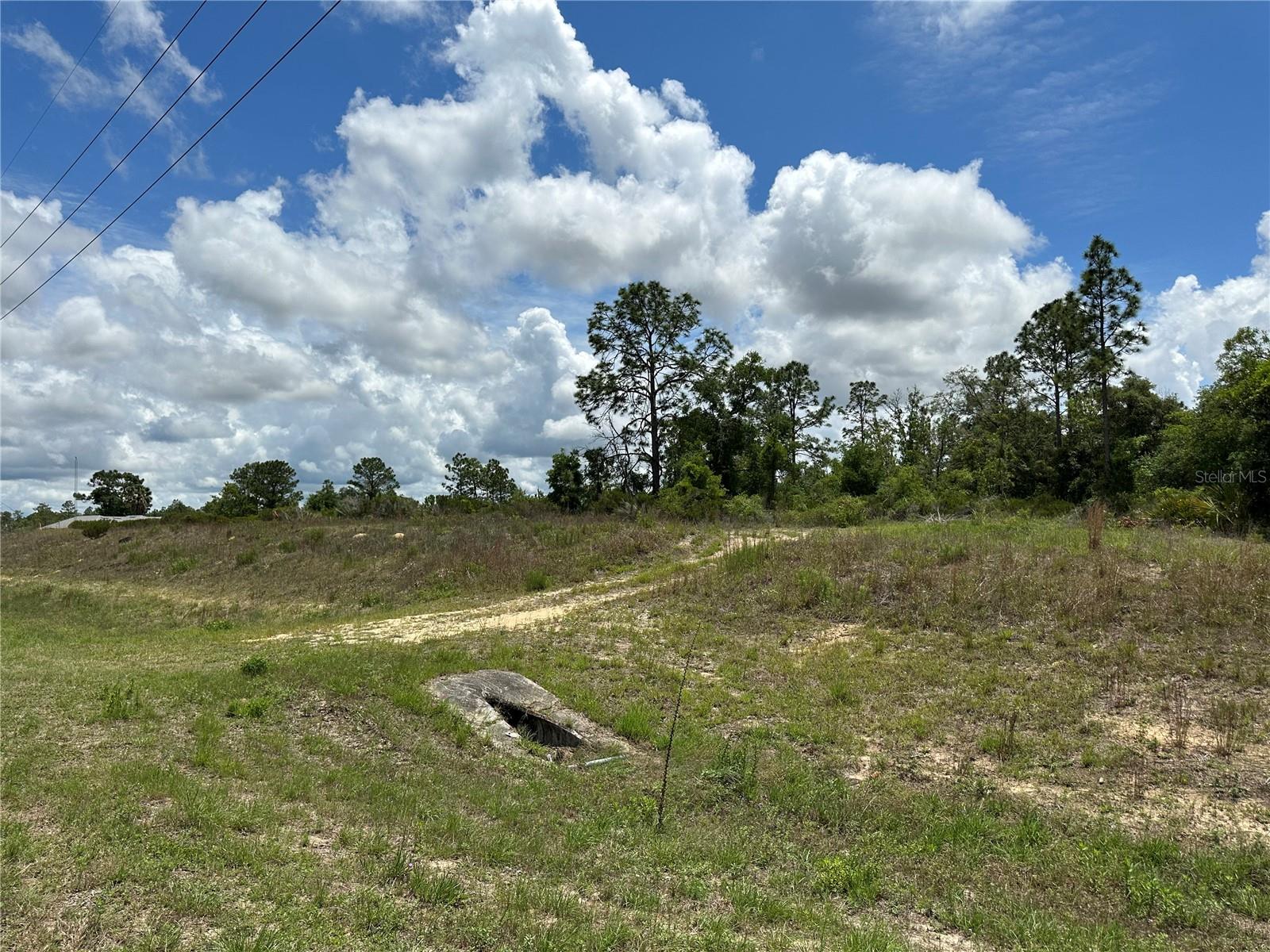 Details for 000 Hwy 27 Alt, BRONSON, FL 32621