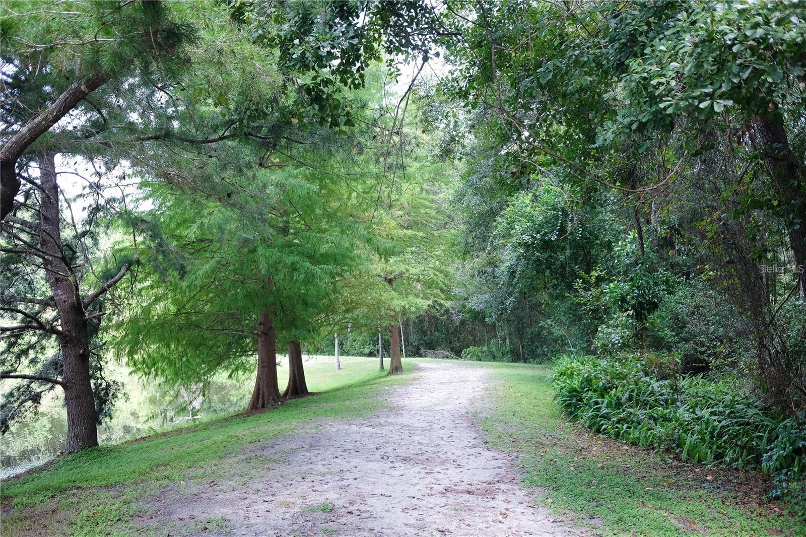 Image 45 of 47 For 3242 23rd Road