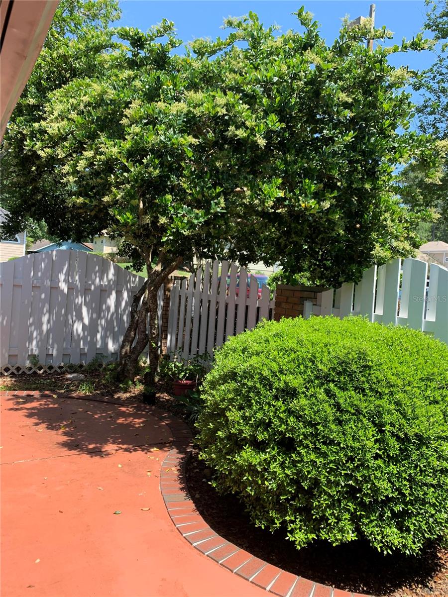 Image 11 of 12 For 3442 104th Way